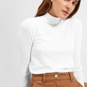 Everlane Prima Stretch Turtleneck